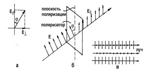 Что такое полярность датчика