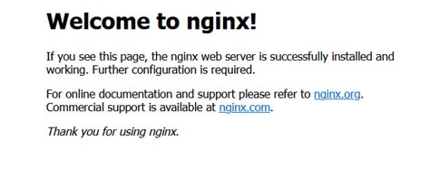 Шаг 1: Установка Nginx на Open Server