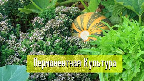 Шаг 2: Выбор подходящего места для тренировок