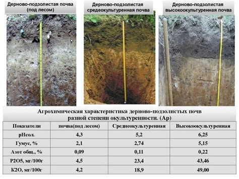 Шаг 4: Применение грунта на поверхность