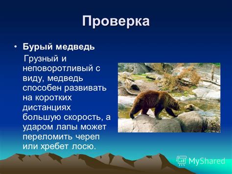 Шаг 5: Проверка точности шагомера на коротких дистанциях