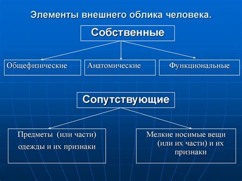 Шарм и романтизм внешнего облика