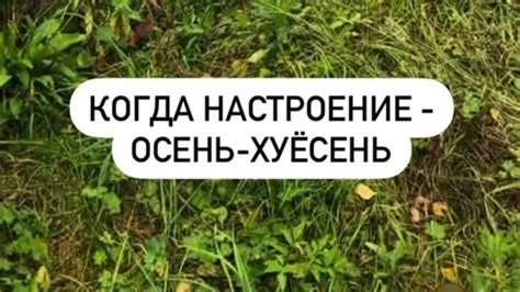 Штольцы как ключ к пониманию образа