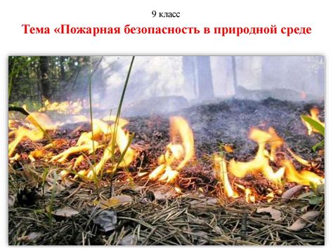 Эволюционное соседство в природной среде