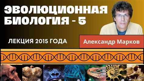 Эволюционные предпочтения и биология