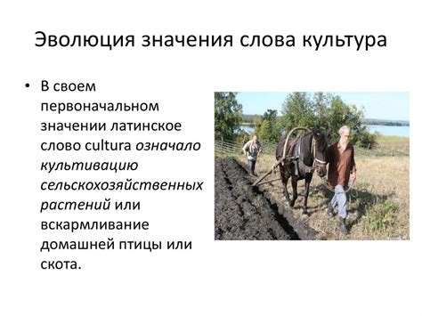 Эволюция значения слова "лайба"