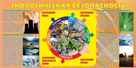 Экологическая безопасность и устойчивость почвы