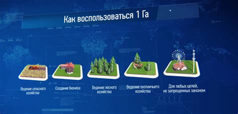 Этапы получения дальневосточного гектара