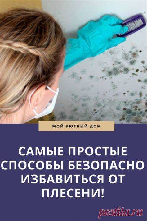 Эффективные методы устранения плесени