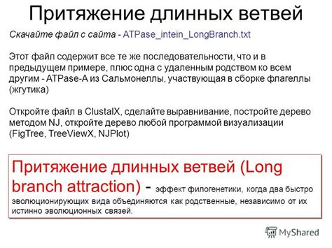 Эффект притяжения читателя