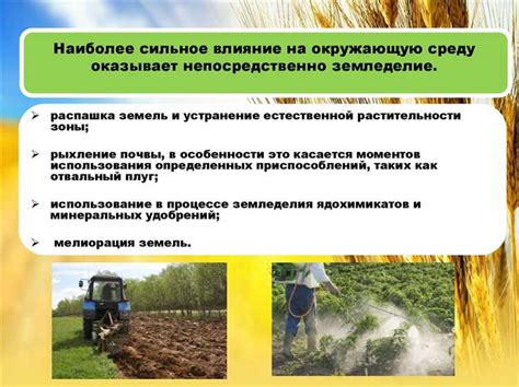  Возможные последствия для экосистемы 