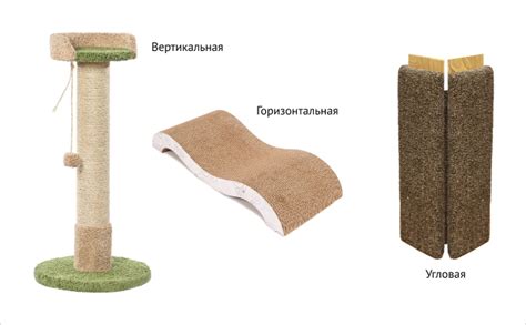 Важность подходящих размеров когтеточки для здоровья кошки