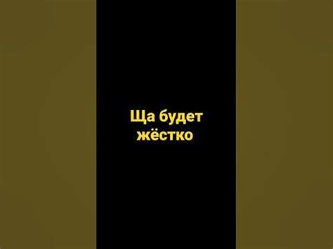 Введите ссылку на зеркало и начинайте пользоваться Руторгом