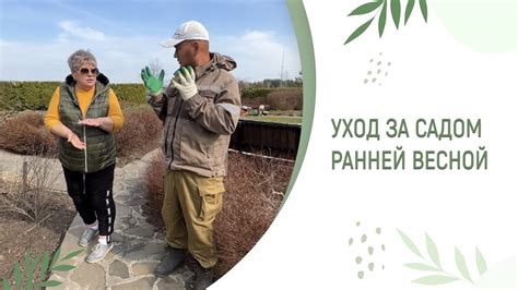 Завершение работы над садом в тумане