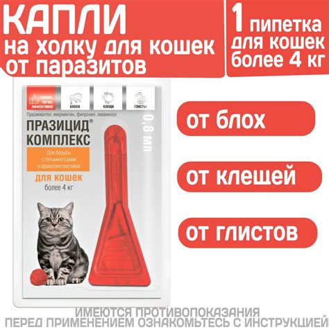 Заговор на освобождение от блох