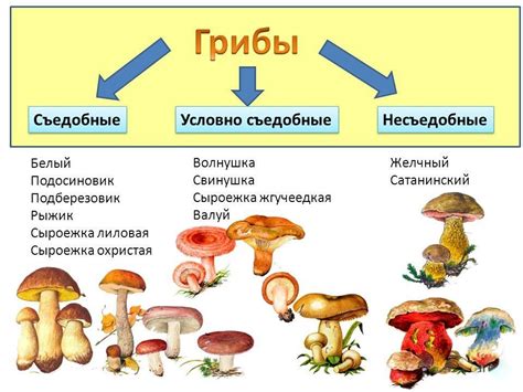 Захватываем виды растений и грибов