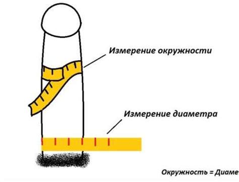 Как измерить ширину кости без больших затрат