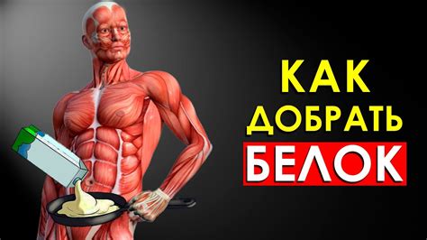 Правило 4: Предпочитайте натуральную пищу