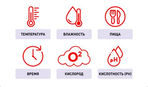 Продление срока хранения продуктов с помощью правильной температуры