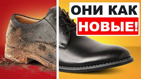 Профессиональные советы: как быстро очистить ДВП от грязи