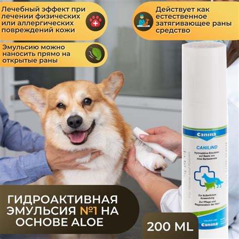 Профилактика и уход за кожей рук после царапин кошки