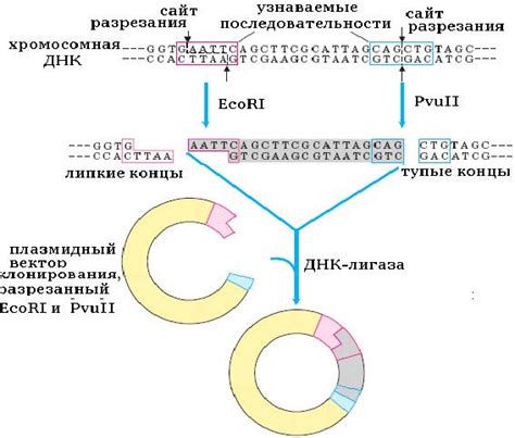Расшифровка и объединение фрагментов ключа