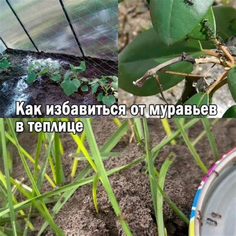 Существует несколько способов