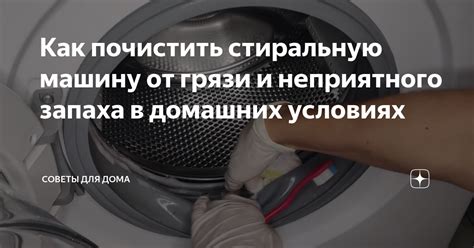 Устранение неприятного запаха гуся в домашних условиях