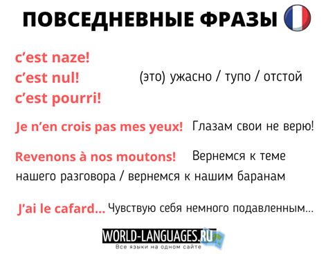 Фразы для приветствия на французском языке в различных ситуациях