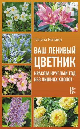 Эффективные методы отключения телефона без лишних хлопот и посещения офиса