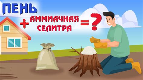 Эффективный способ №4: безопасность при удалении пня электролитом